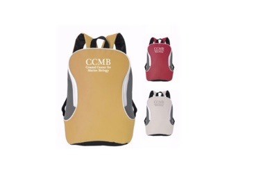 (image for) (0017294) Backpack Light Blue
