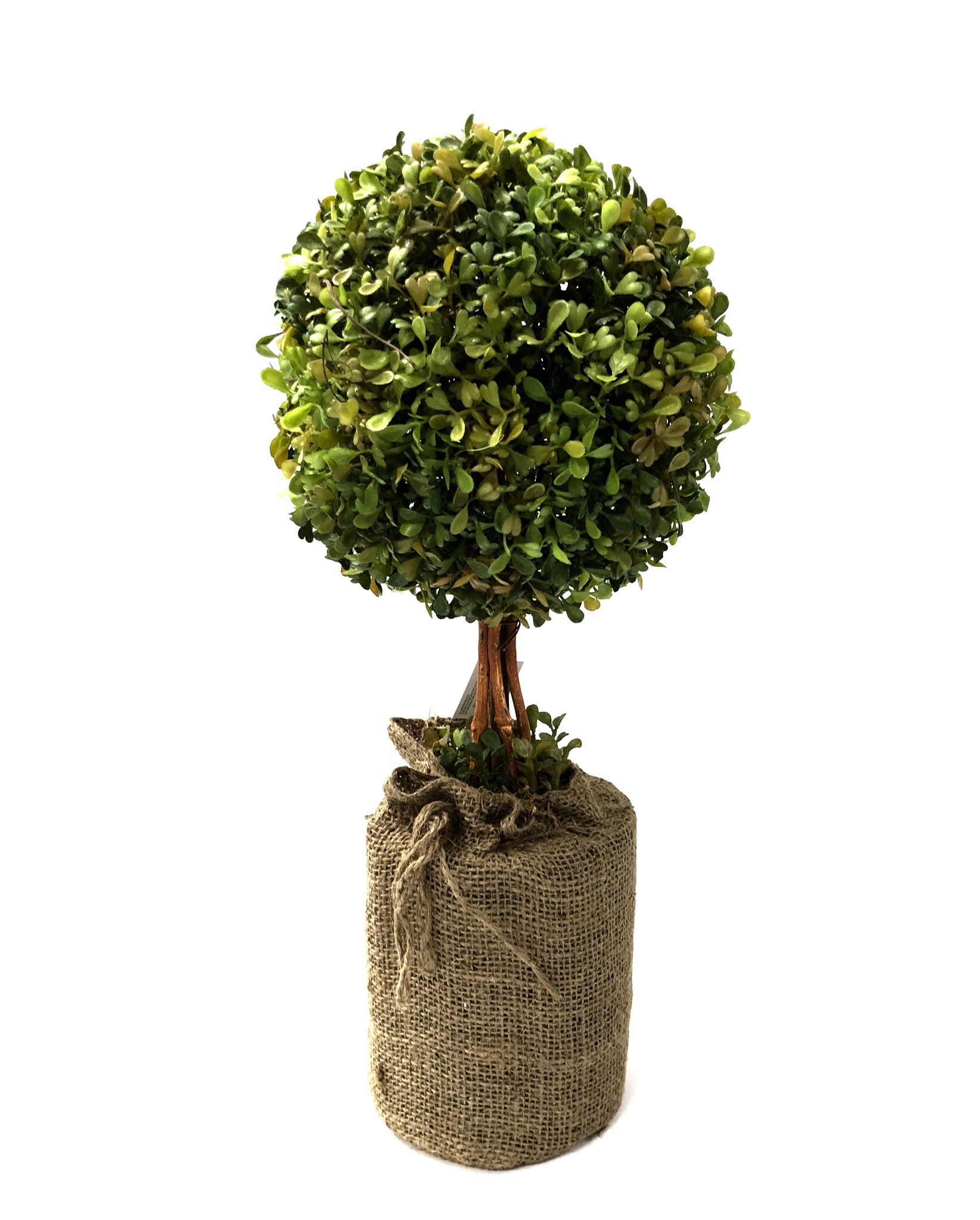 (image for) 16" Topiary w/Burlap Wrapped Pot