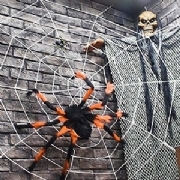 Striped Halloween Spider With Cobweb
