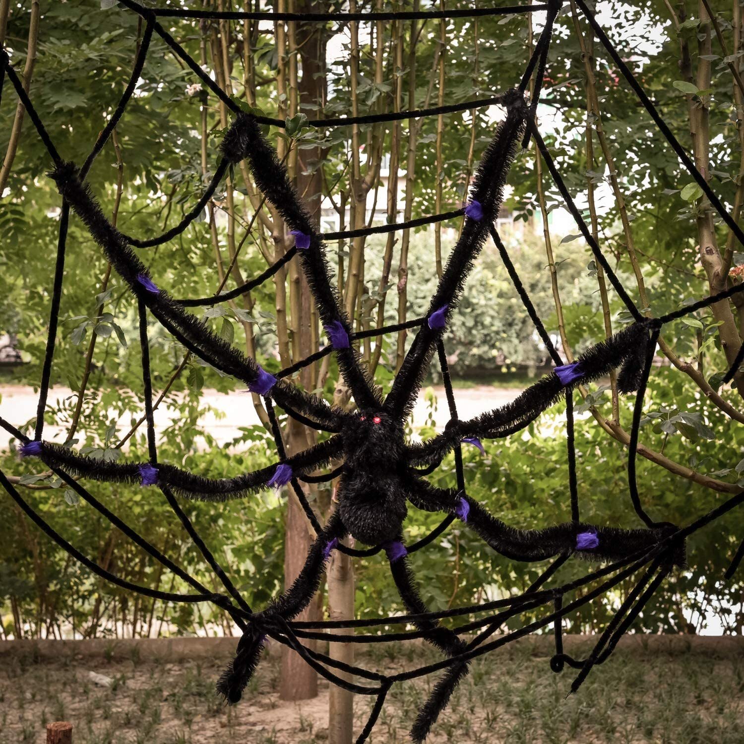 Halloween Spider With Spider Web