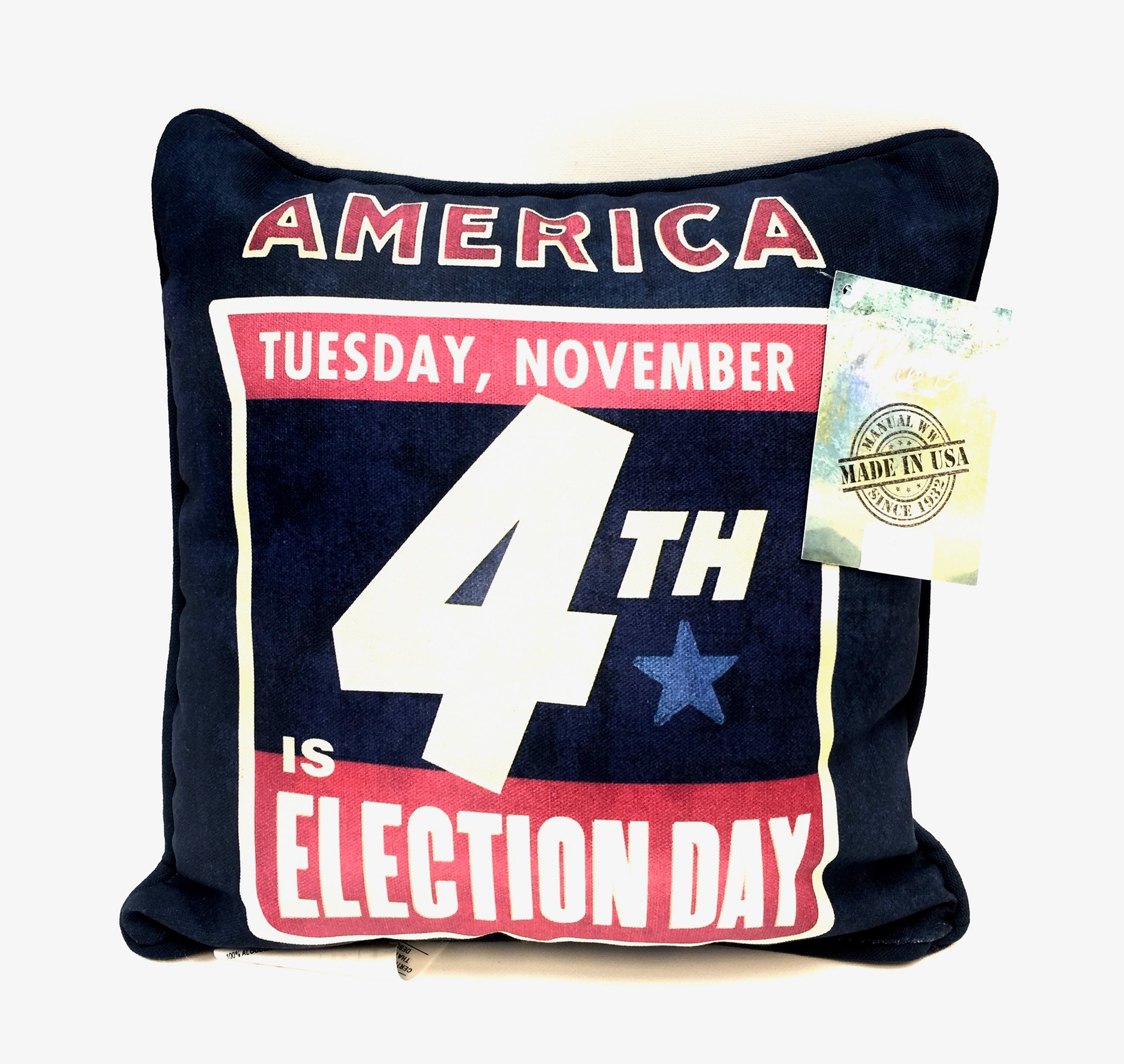 (image for) America Election Day Pillow