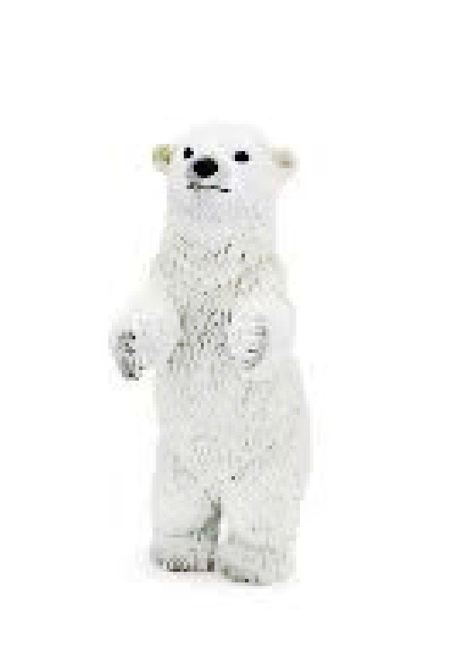 (image for) Standing Polar Bear Cub
