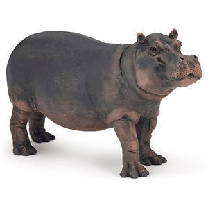 (image for) Hippopotamus Cow