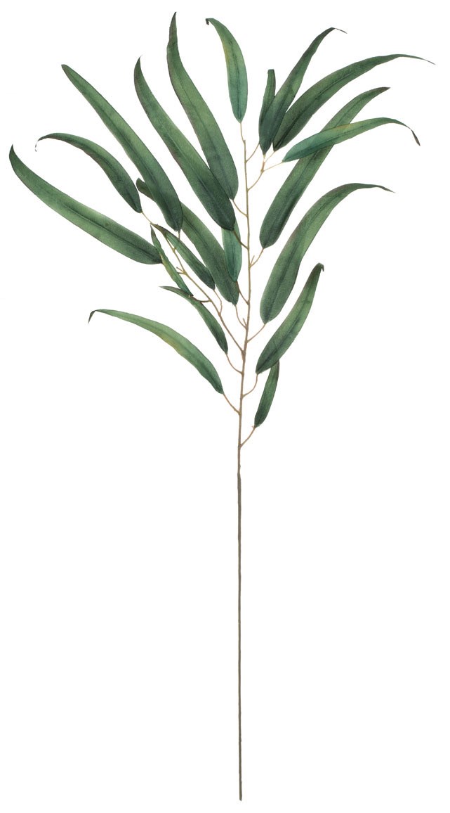 36" Eucalyptus Leaf